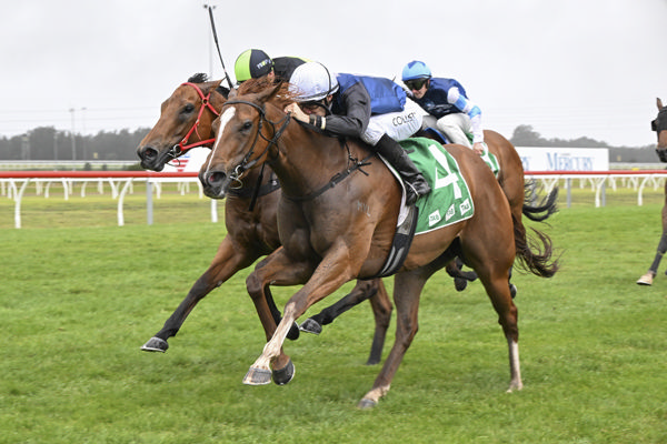 Catch the Glory edges out The Black Cloud to win The Warra - image Bradley Photos