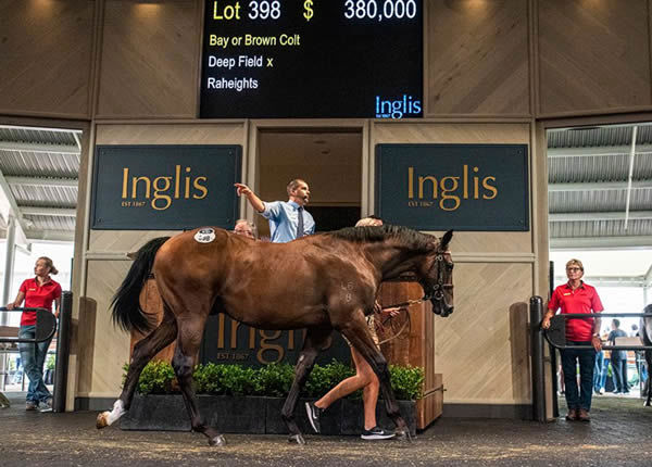 Voyage Bubble topped the 2020 Inglis Classic Yearling sale.