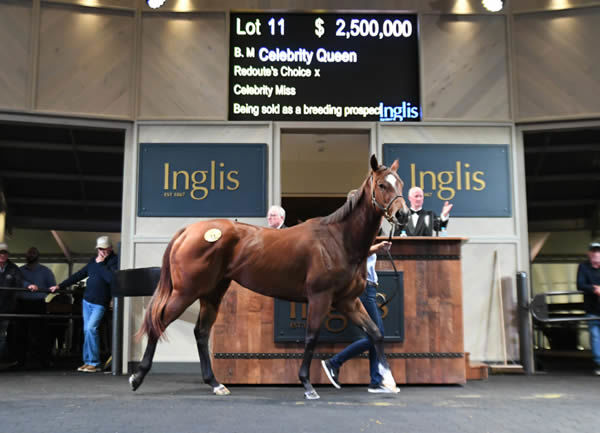 Celebrity Queen topped the 2021 Inglis Chairman's Sale.