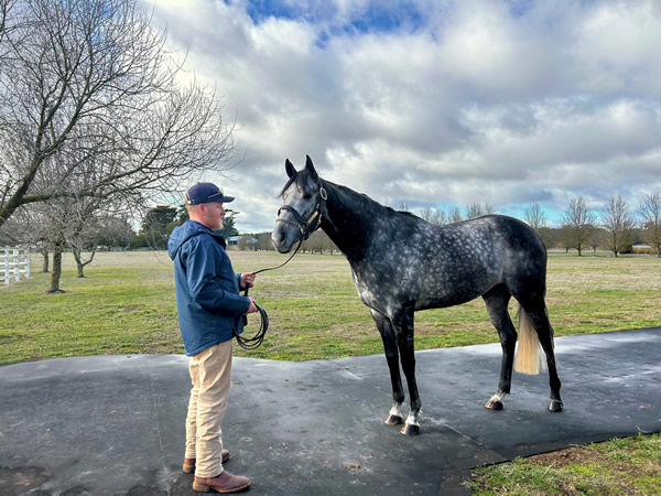 Celestial Legend stands at Woodside Park.