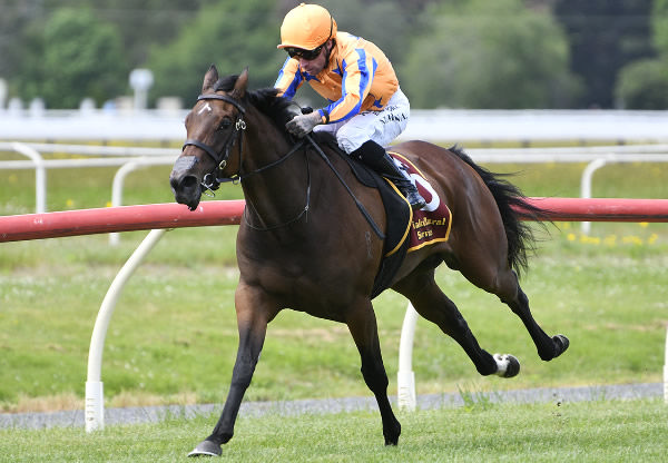 Celestial Wonder powering away with the KB Bloodstock 1150 at Te Aroha on Wednesday.  Photo: Kenton Wright (Race Images) 