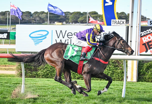 Celibate scores in style on debut - image Reg Ryan/ Racing Photos