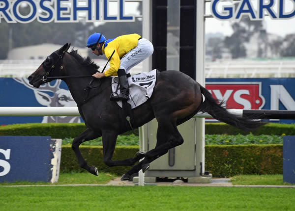 Cellsabeel bolted in to put herself into Golden Slipper calculation - image Steve Hart