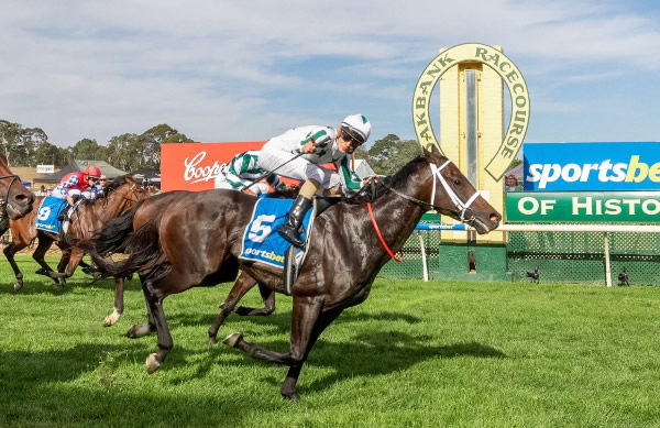 Celsius Star wins his first stakes race at Oakbank - image Stokes Racing Twitter
