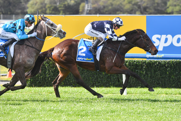 Censori wins on debut at Sandown - image Pat Scala / Racing Photos