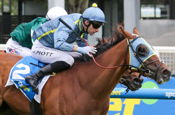 Promising three-year-old Centennial Park secured a hard-fought victory at Caulfield Heath on Boxing Day.   Photo Credit Bruno Cannatelli