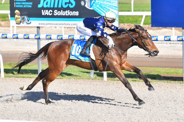 Centre Square scores at Ballarat to become the ninth Aussie winner for Blue Point  - image Pata Scala / Racing Photos