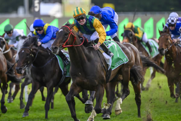 Ceolwulf attacked the line in the G1 Epsom - image Steve Hart