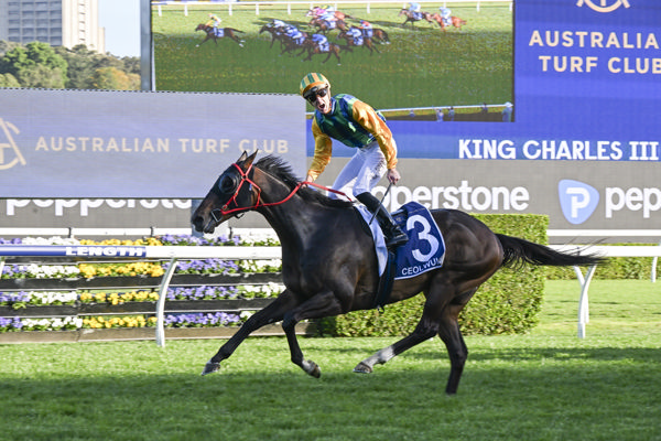 Ceolwulf successfully defended his Gr.1 King Charles III Stakes (1600m) crown at Randwick on Saturday. Photo: bradleyphotos.com.au