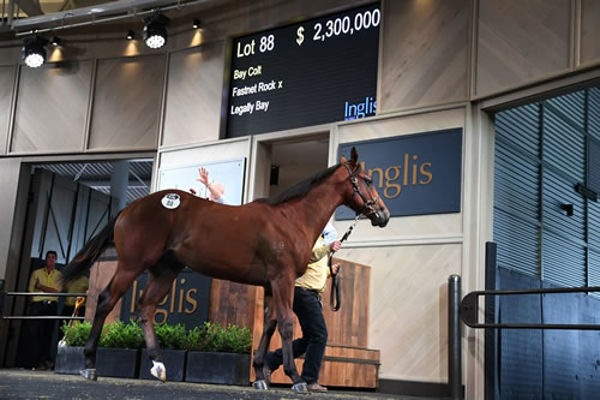 Setanta was the second highest priced yearling at 2019 Inglis Easter.