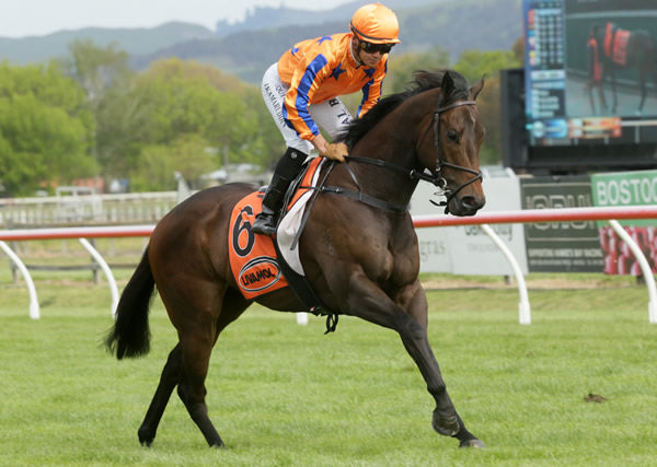 Challa was among the victorious Te Akau runners at Riccarton Park on Saturday.  Photo: Trish Dunell