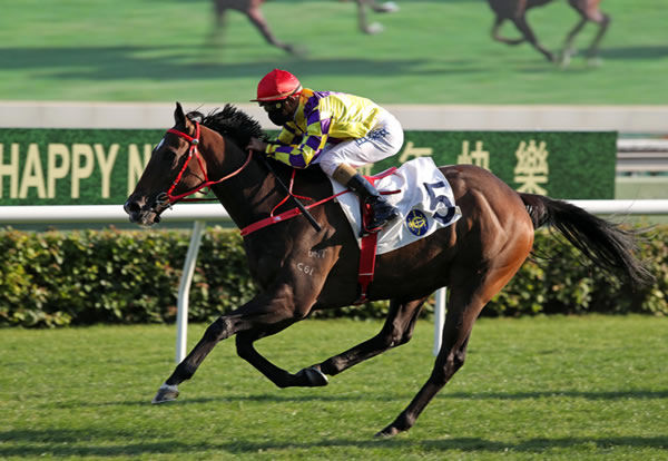 Champion's Way wins the G3 Chinese Challenge Cup - image HKJC