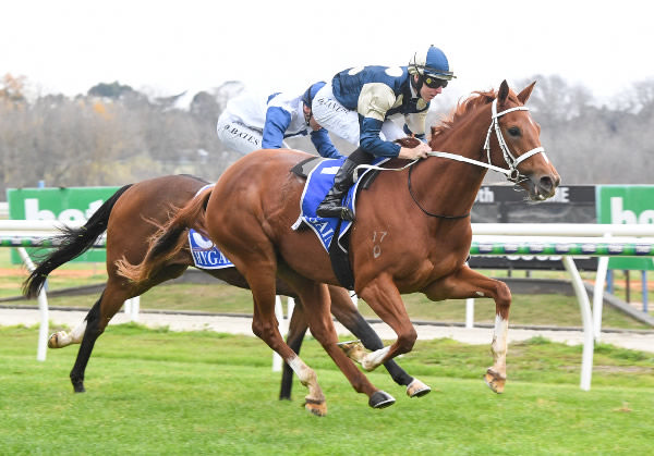 Changing Colours comes from last to first to win at Kyneton - image Brett Holburt / Racing Photos