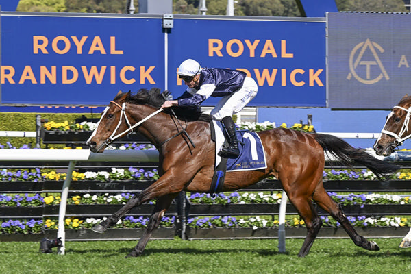 Third Black Type Victory, And First In Australia For Changingoftheguard (IRE) - Image Bradley Photos