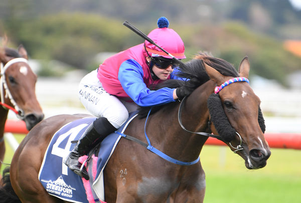 Chantilly Lace provided her sire, US Navy Flag, with his first southern hemisphere winner at Wanganui on Thursday. Photo: Race Images Palmerston North