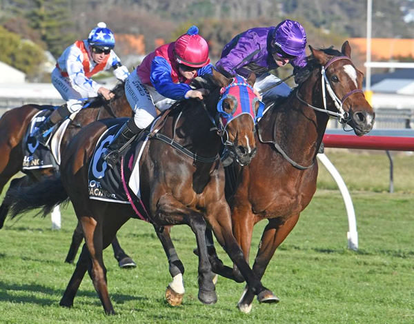 Chantilly Lace and Lily Sutherland collect another stakes victory in the Listed HS Dyke Wanganui Guineas (1200m) on Saturday.  Photo: Peter Rubery (Race Images Palmerston North)