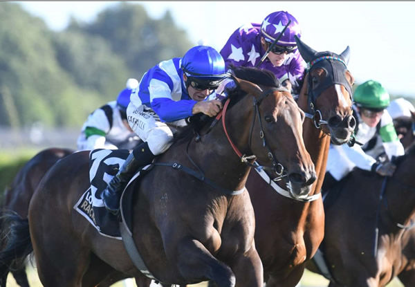 Chaource winning at Te Rapa on Wednesday.   Photo: Kenton Wright (Race Images)
