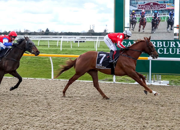 Charbano will contest the Inglewood Stud Guineas Trial (1400m) at Riccarton on Saturday. Photo: Race Images South