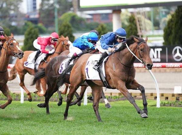 Charm Stone wins the Listed Atlantic Jewel  - image Scott Barbour / Racing Photos