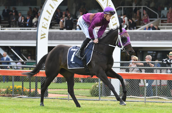 Charms Star has joined Chris Waller’s stable with a Queensland campaign in mind. Photo: Race Images