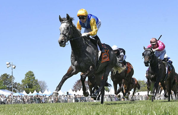 Chattahoochee winning at Hastings on Saturday. Photo: Peter Rubery (Race Images Palmerston North)