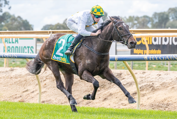 Chateau Eze wins on debut at Benalla - image Jay Town / Racing Photos