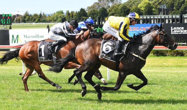 Cheaha winning comfortably on debut at Arawa Park on Wednesday.  Photo: Kenton Wright (Race Images)