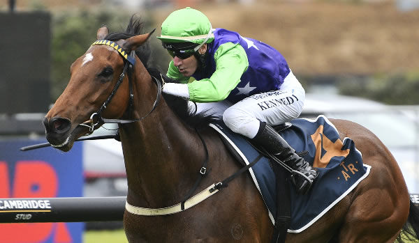 Checkmate scores an impressive victory in the Armacup 3YO Stakes at Ellerslie.  Photo: Kenton Wright (Race Images)