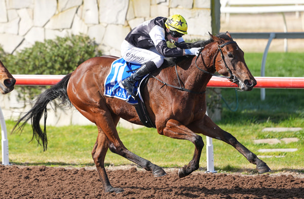 Cheeky Contiki salutes at Pakenham - image Scott Barbour / Racing Photos