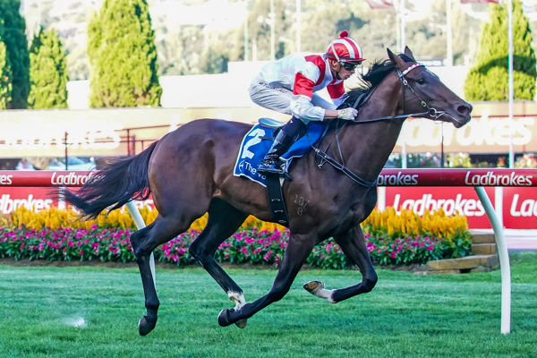 Cheerful Legend opens his account at Moonee Valley (image Scott Barbour/Racing Photos)
