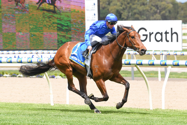 Chergui is in the Godolphin draft - image Inglis
