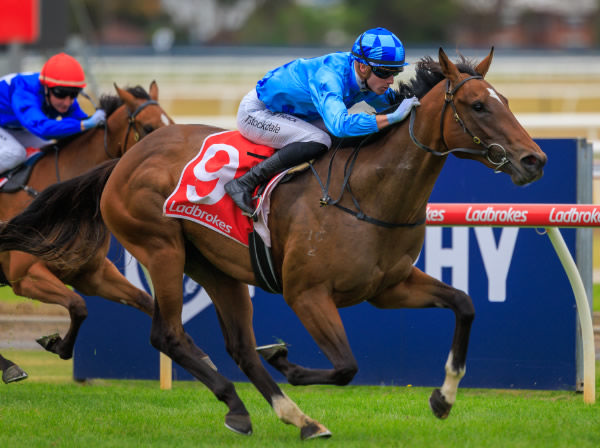 Cherish Me wins the $150,000 Geelong Diamond - image Grant Courtney