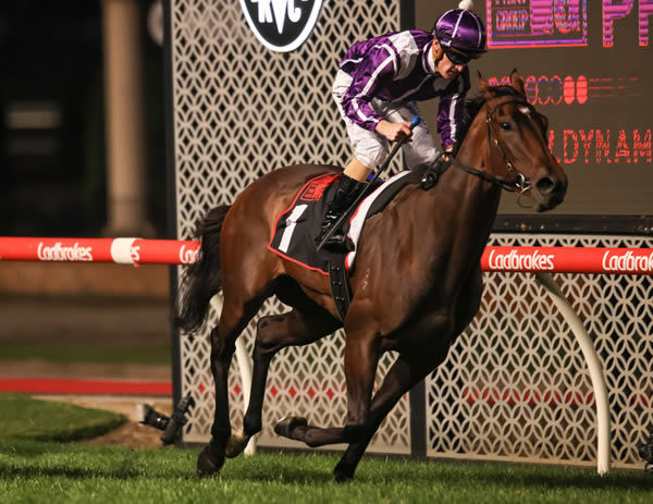 Chica Fuerte wins the G3 Alexandra Stakes - image Grant Courtney