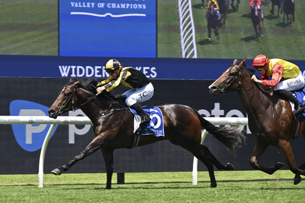 Chilly Girl wins the G3 Widden on debut - image Bradley Photos