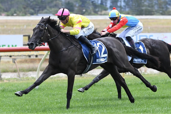 Chiling Out breaks the maiden in style - Race Images