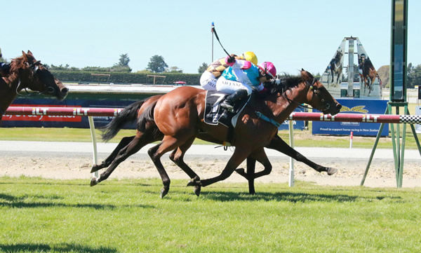 Chokito downs Milford Sound (mostly obscured) to take out the Listed ILT Ascot Park Hotel Southland Guineas (1600m) Photo Credit: Monica Toretto