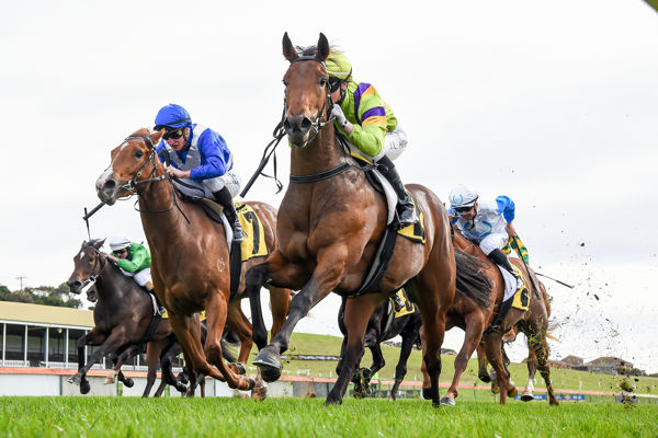 Chrome Angel makes it two from three at the Bool (Pat Scala/Racing Photos)