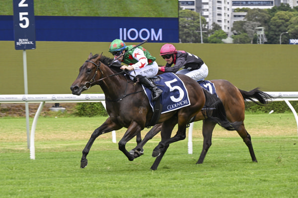 Ciaron's Star opens her account at Randwick - image Bradley Photos