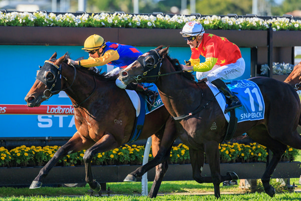 Cifrado too good for Snitzel colt Snapback in G2 Sires Produce Stakes - image Grant Courtney