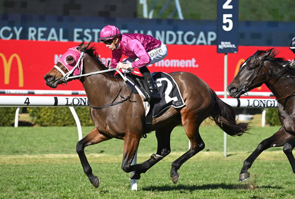 Cigar Flick showed her class to beat the colts - image Steve Hart