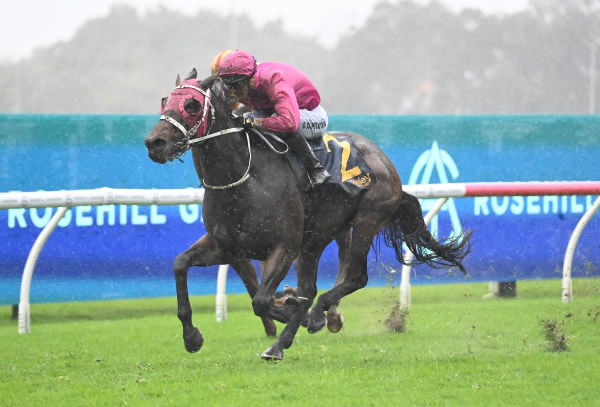 Cigar Flick gets the cash in appalling conditions - image Steve Hart