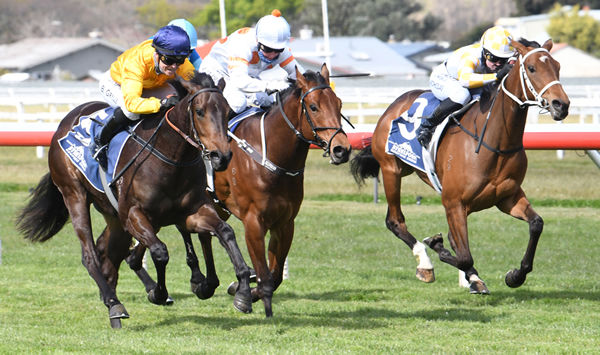 Cincoro (Gold jacket) finishes too strongly for her opposition at Wanganui Photo Credit: Race Images - Grant Matthew