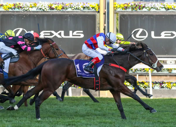 Cindy Falls flew home late to score at Flemington on Saturday. Photo: Bruno Cannatelli