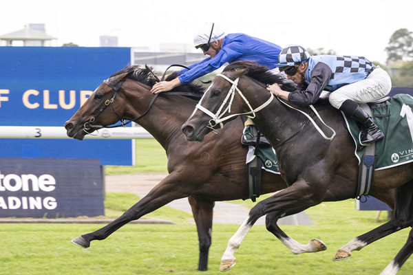 G2 Millie Fox Stakes Success For Brazen Beau Mare Cinsault - Image Bradley Photos