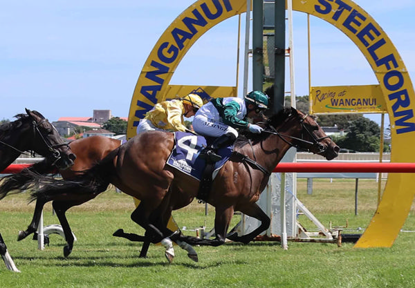 Circus Dancer winning the Listed O’Learys Fillies’ Stakes (1340m) at Wanganui on Saturday. Photo: Jane Davidson 