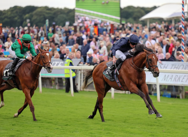 City of Troy is a last start winner of the Group I Juddmonte International - image Coolmore