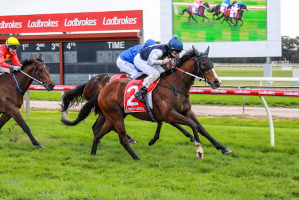 Claptone has won two races this week, click to see his ad - $7,000 well spent! 