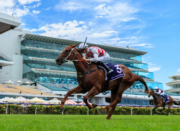 Clemenceau makes it three wins on the trot scoring at Flemington - image Grant Courtney