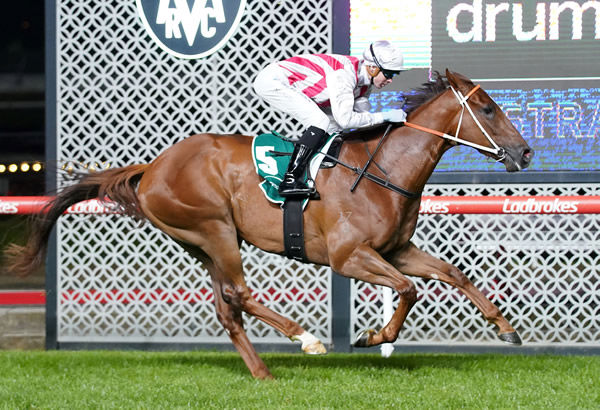Clemenceau wins easily at Moonee Valley - image Scott Barbour  / Racing Photos 