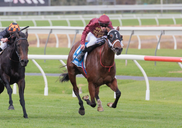 Climbing Star claims Group One honours at Morphettville. Photo: Atkins Photography 